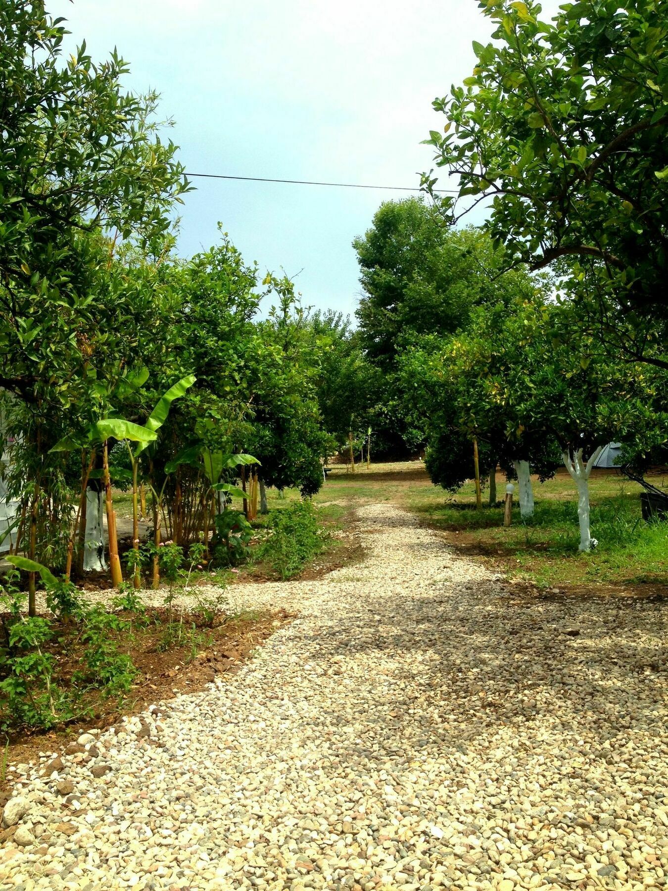 Hotel Bellerofon Camping Çıralı Esterno foto