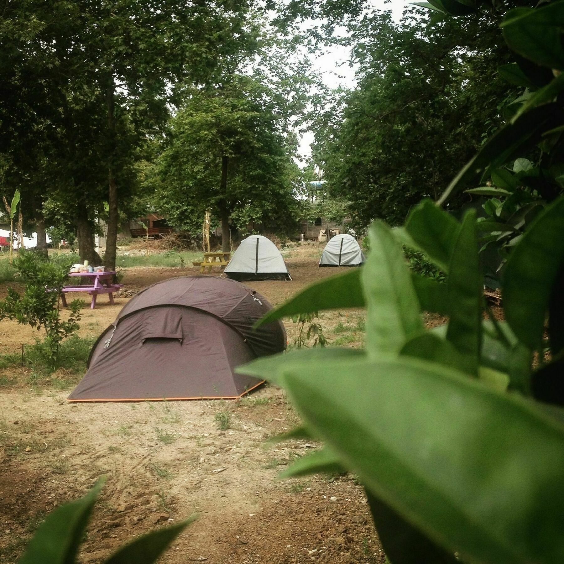 Hotel Bellerofon Camping Çıralı Esterno foto